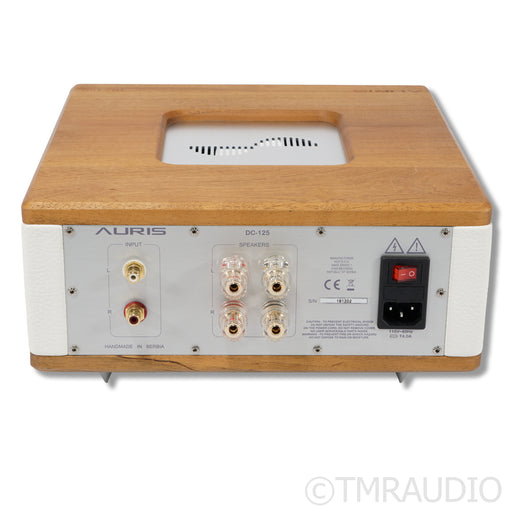 Auris DC-125 Power Amplifier