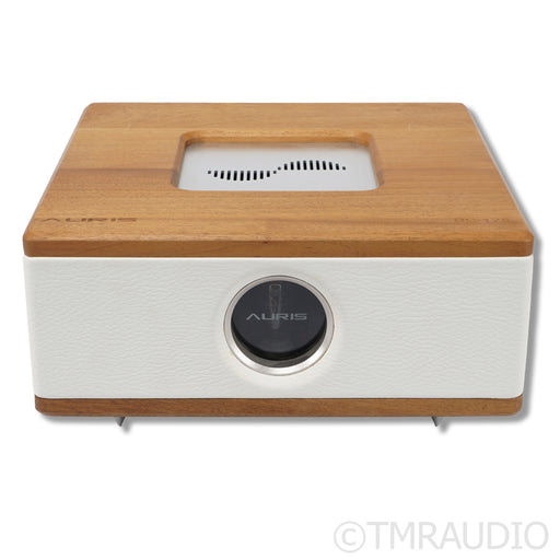 Auris DC-125 Power Amplifier