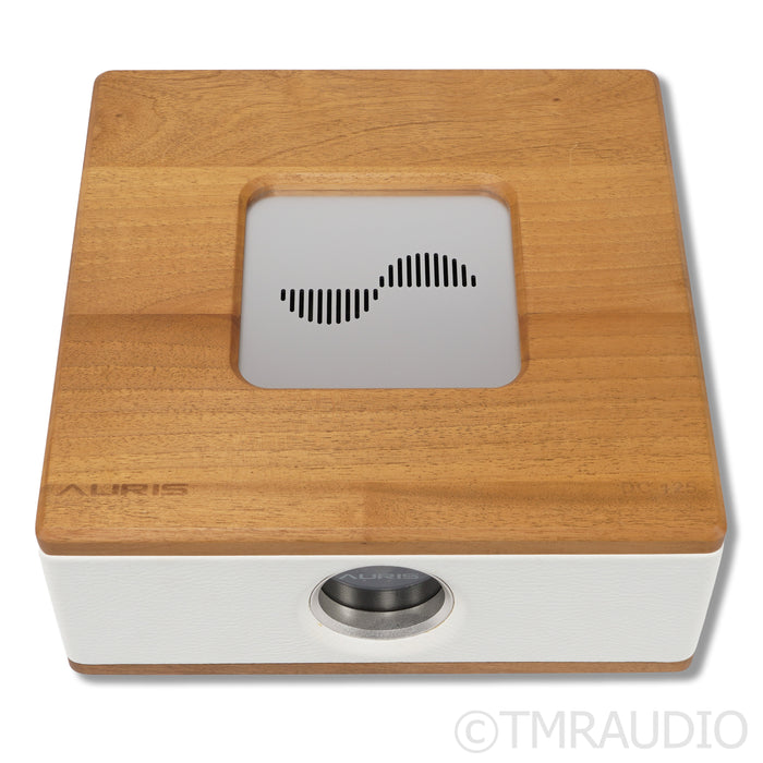 Auris Audio DC-125 Power Amplifier