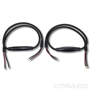 Transparent Audio Super Gen 5 Speaker Cables; 8ft