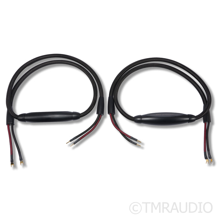 Transparent Audio Super Gen 5 Speaker Cables; 8ft