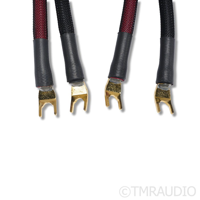 Transparent Audio Super Gen 5 Speaker Cables; 8ft