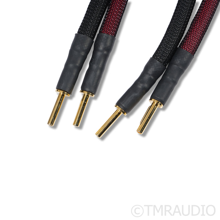 Transparent Audio Super Gen 5 Speaker Cables; 8ft