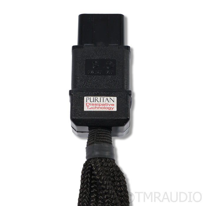 Puritan Audio Labs Ultimate Power Cable; C19 20A Connector; 2m