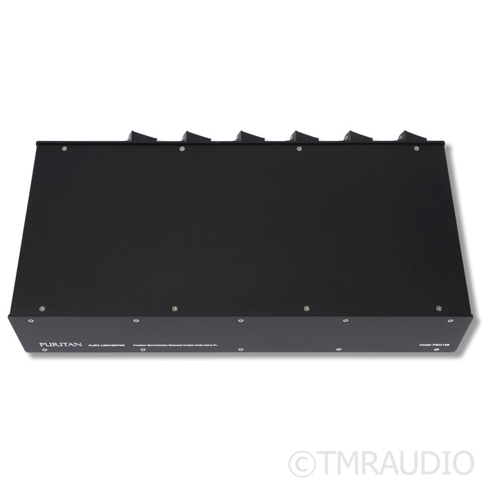 Puritan Audio Labs PSM156 Power Conditioner