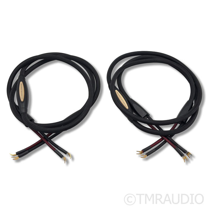 Transparent Audio MusicWave Plus Speaker Cables; 10ft