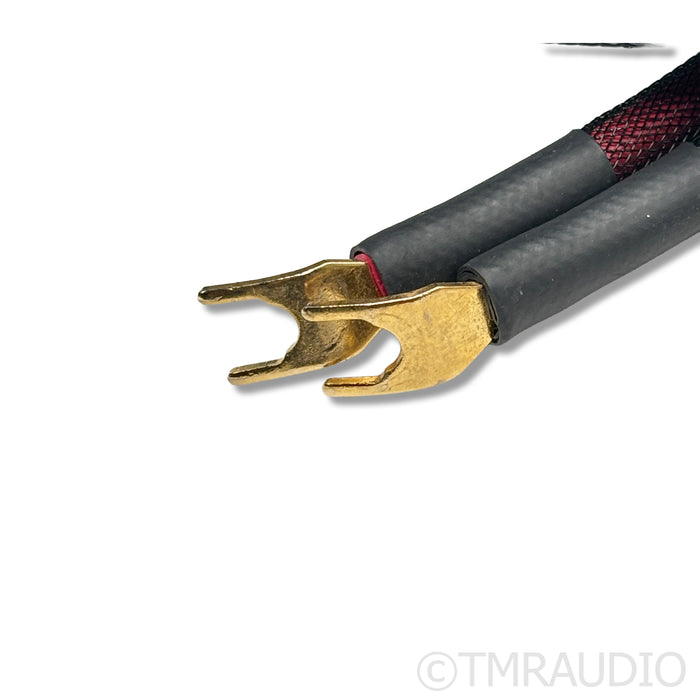 Transparent Audio MusicWave Plus Speaker Cables; 10ft