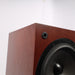 ProAc Response DT8 Floorstanding Speakers