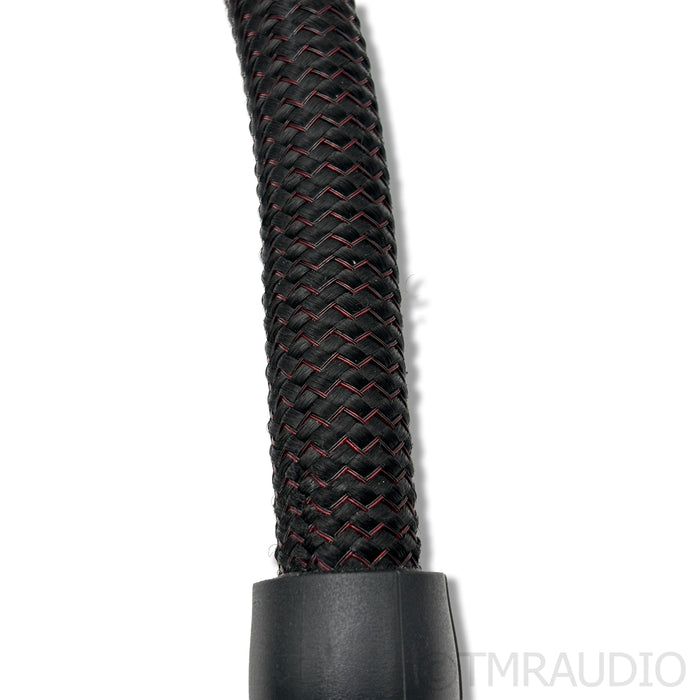 AudioQuest NRG-Z3 Power Cable; 3m