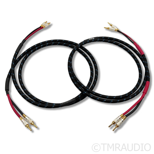 DH Labs Silver Sonic Q-10 Signature Speaker Cables; 6ft