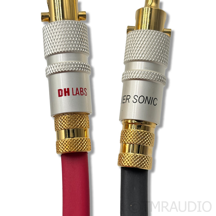 DH Labs Silver Sonic Q-10 Signature Speaker Cables; 6ft