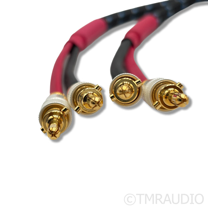 DH Labs Silver Sonic Q-10 Signature Speaker Cables; 6ft