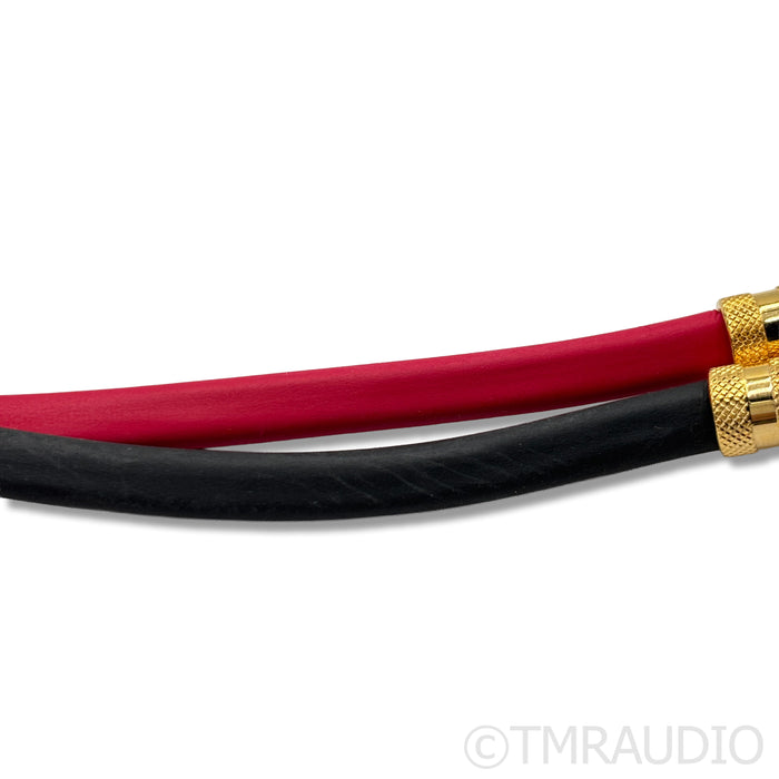 DH Labs Silver Sonic Q-10 Signature Speaker Cables; 6ft