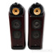 Bowers & Wilkins Nautilus 802 Floorstanding Speakers