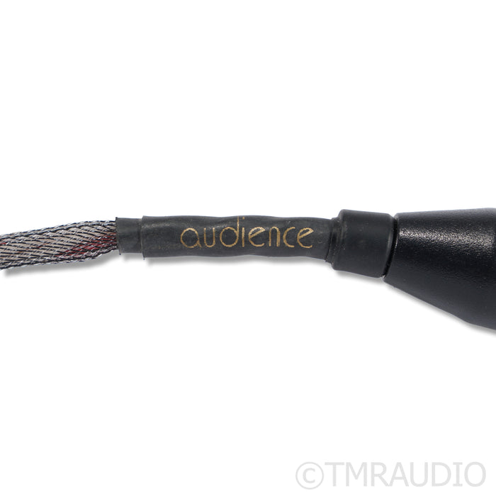 Audience OHNO XLR Cables; 1m