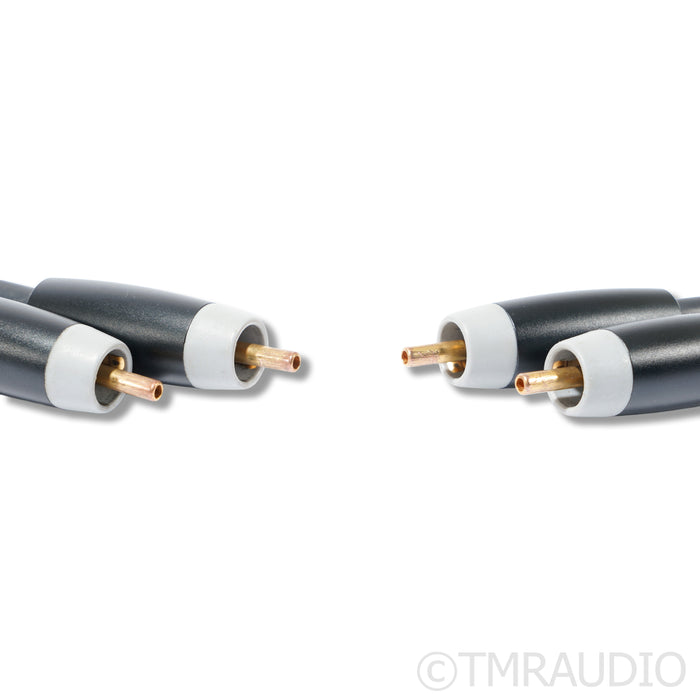 Audience Au24 SE RCA Cables; 1m