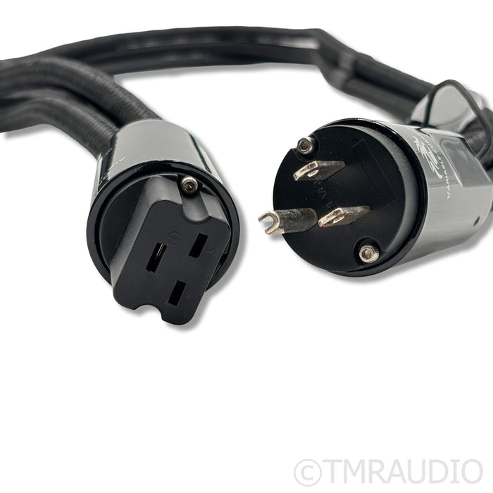 AudioQuest Dragon High Current C19 Power Cable;  1m