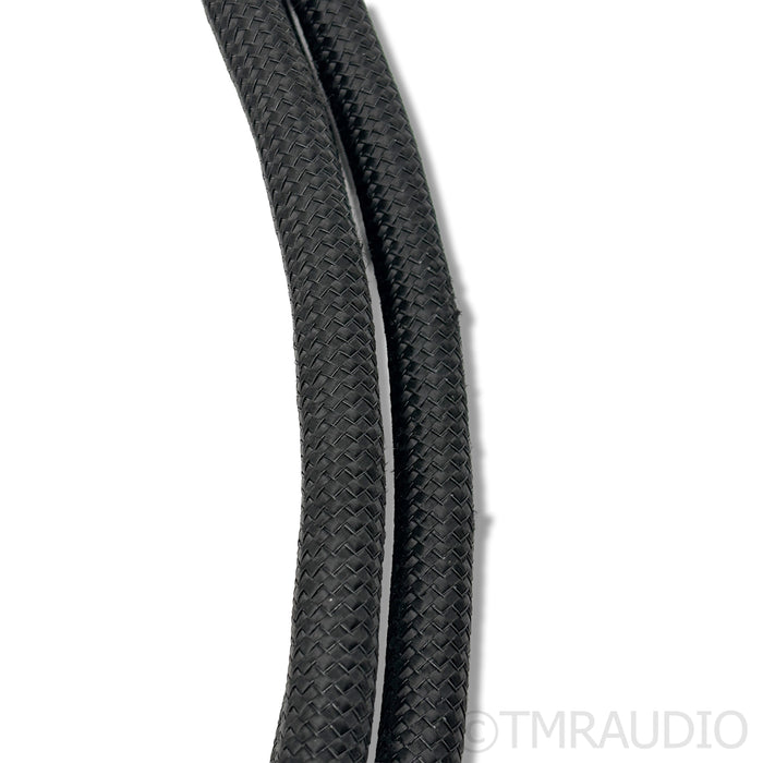 AudioQuest Dragon High Current C19 Power Cable; 1m