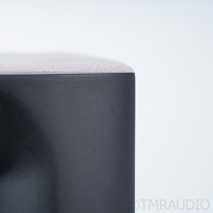 Borresen 01 Silver Supreme Edition Bookshelf Speakers; Stands