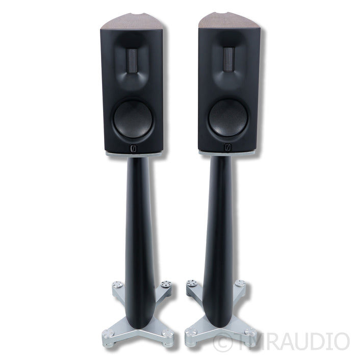 Borresen 01 Silver Supreme Edition Bookshelf Speakers; Stands