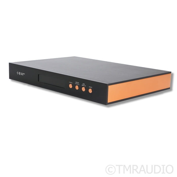 Holo Audio Spring 1 Level 3 KTE DAC; Wildism Edition