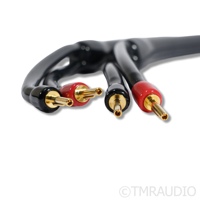 Transparent Audio MusicWave Speaker Cables; 2.5m