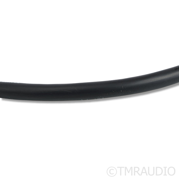 Transparent Audio MusicWave Speaker Cables; 2.5m