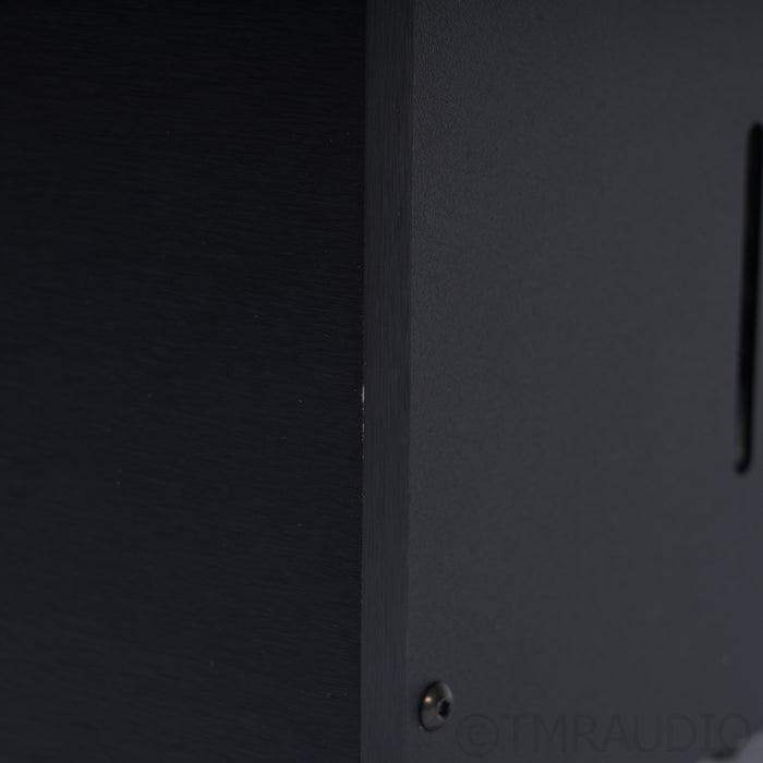 ModWright KWA 99 Monoblock Power Amplifiers
