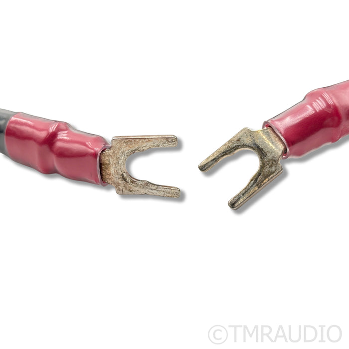Synergistic Research Foundation SX Bi-Wire Speaker Cables; 3m
