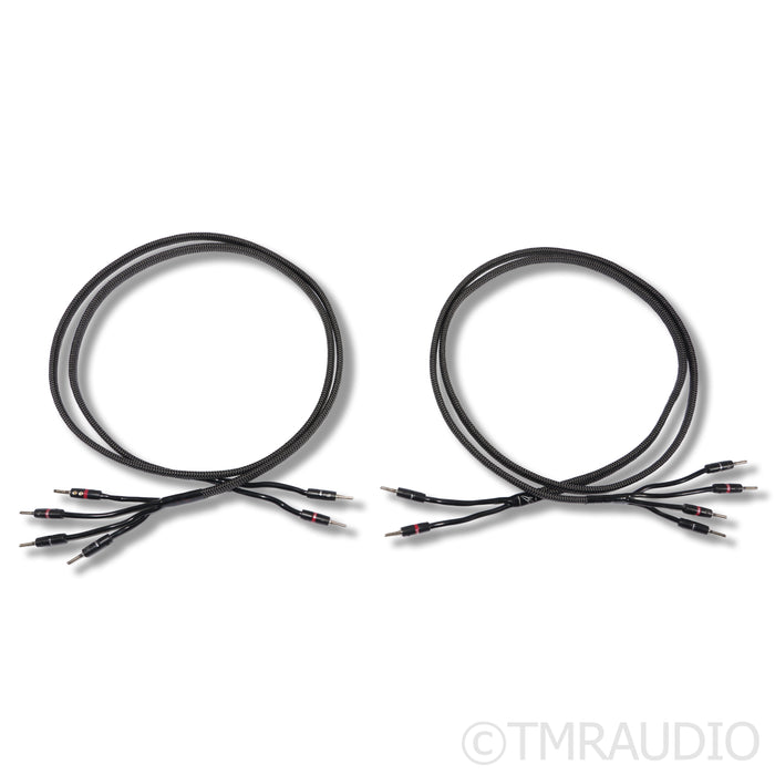 AudioQuest Rocket 44 Bi-Wire Speaker Cables; 8ft