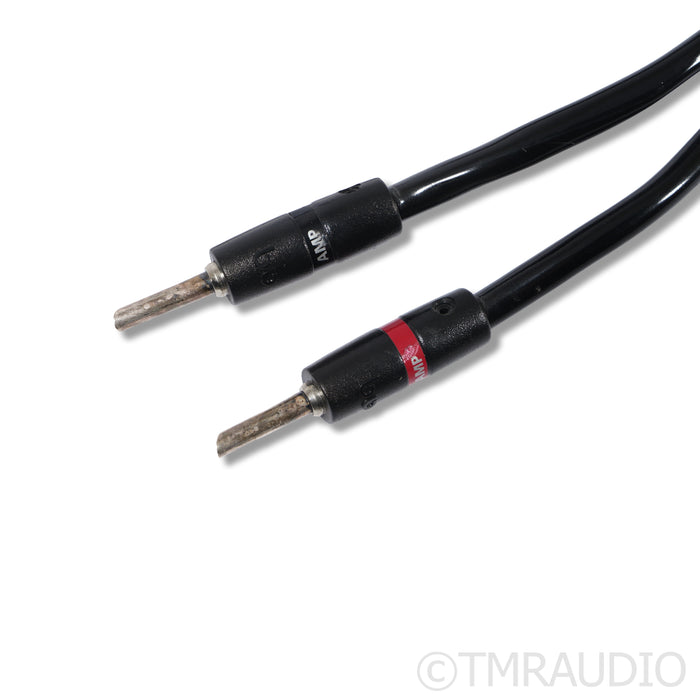 AudioQuest Rocket 44 Bi-Wire Speaker Cables; 8ft