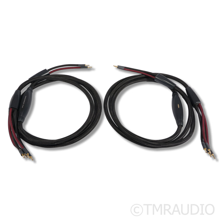 Transparent Audio Plus Gen 6 Bi-Wire Speaker Cables; 3.5m