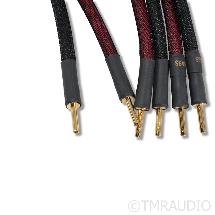 Transparent Audio Plus Gen 6 Bi-Wire Speaker Cables; 3.5m