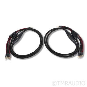 Transparent Audio Plus Gen 6 Bi-Wire Speaker Cables; 2.5m