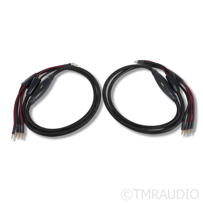 Transparent Audio Plus Gen 6 Bi-Wire Speaker Cables; 2.5m