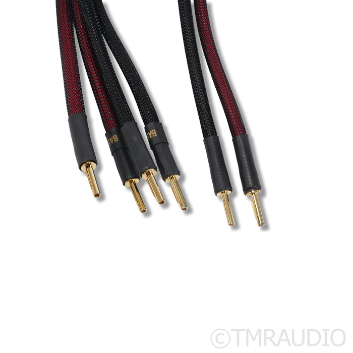 Transparent Audio Plus Gen 6 Bi-Wire Speaker Cables; 2.5m