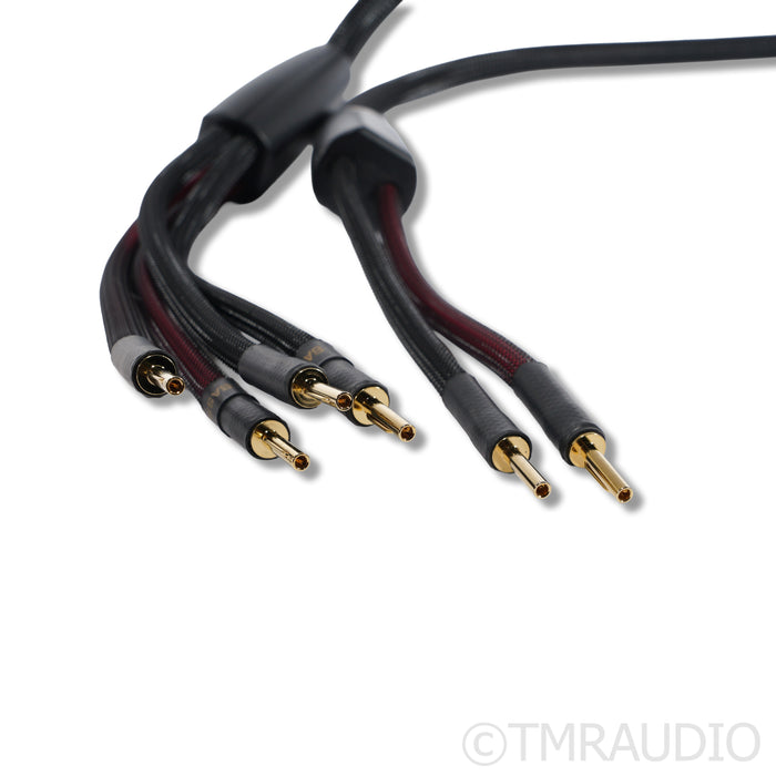 Transparent Audio Plus Gen 6 Bi-Wire Speaker Cables; 2.5m