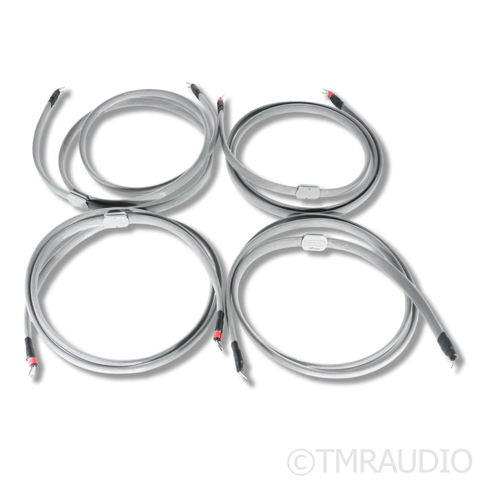 Albedo Monolith Reference Silver Speaker Cables; 2.5m