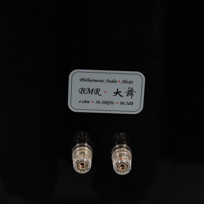 Philharmonic Audio Alexis BMR Monitor Bookshelf Speakers; Skylan SP24 Stands