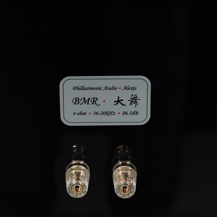 Philharmonic Audio Alexis BMR Monitor Bookshelf Speakers; Skylan SP24 Stands