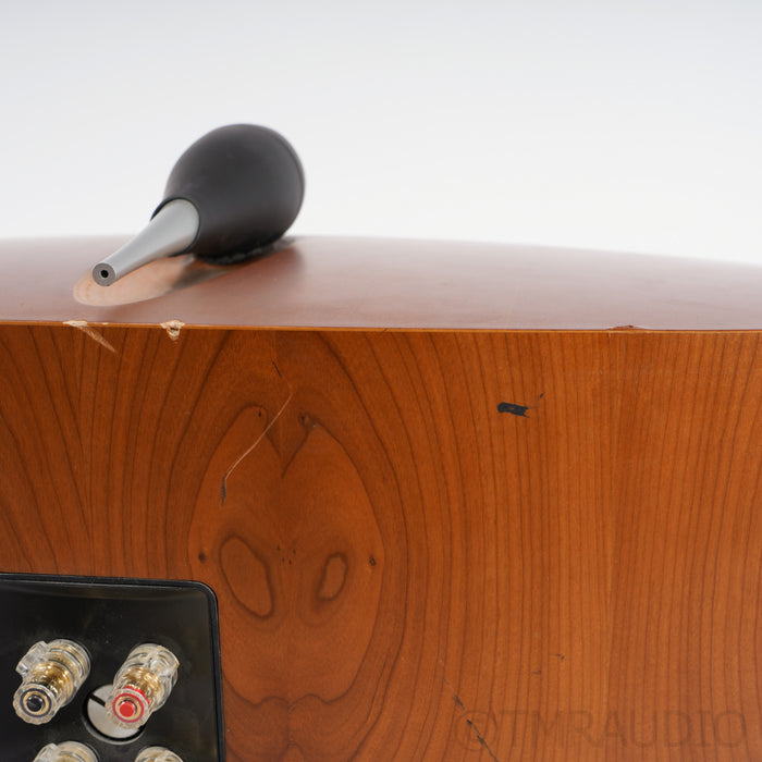 Bowers & Wilkins Nautilus HTM1 Center Channel Speaker