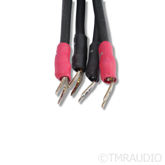 Synergistic Research Element Tungsten Speaker Cables; 2.5m