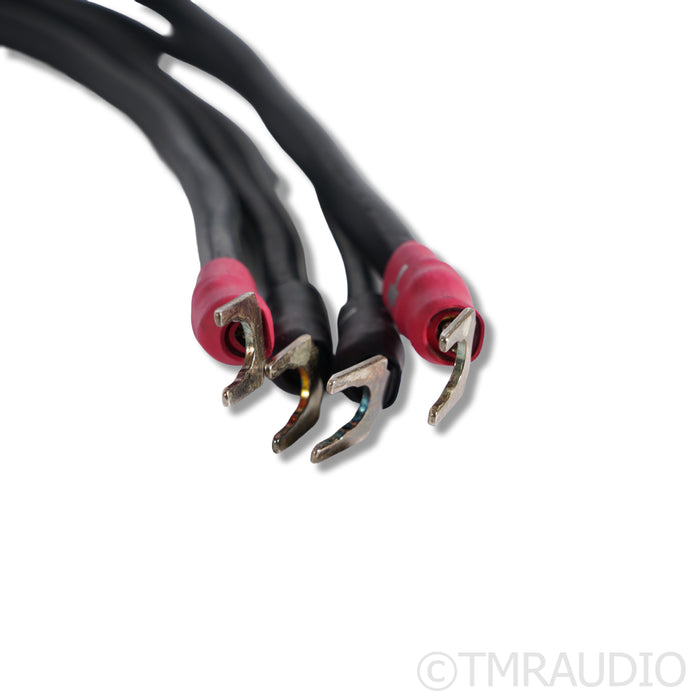 Synergistic Research Element Tungsten Speaker Cables; 2.5m