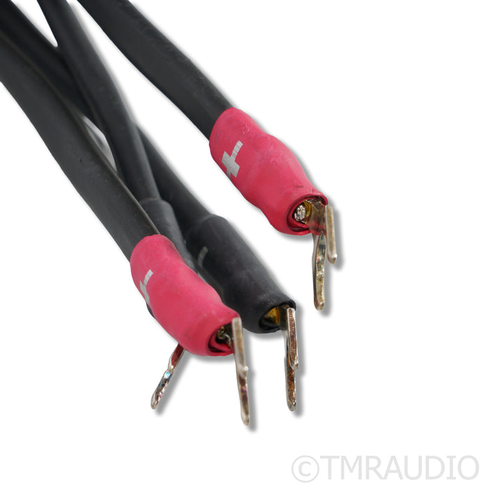 Synergistic Research Element Tungsten Speaker Cables; 2.5m