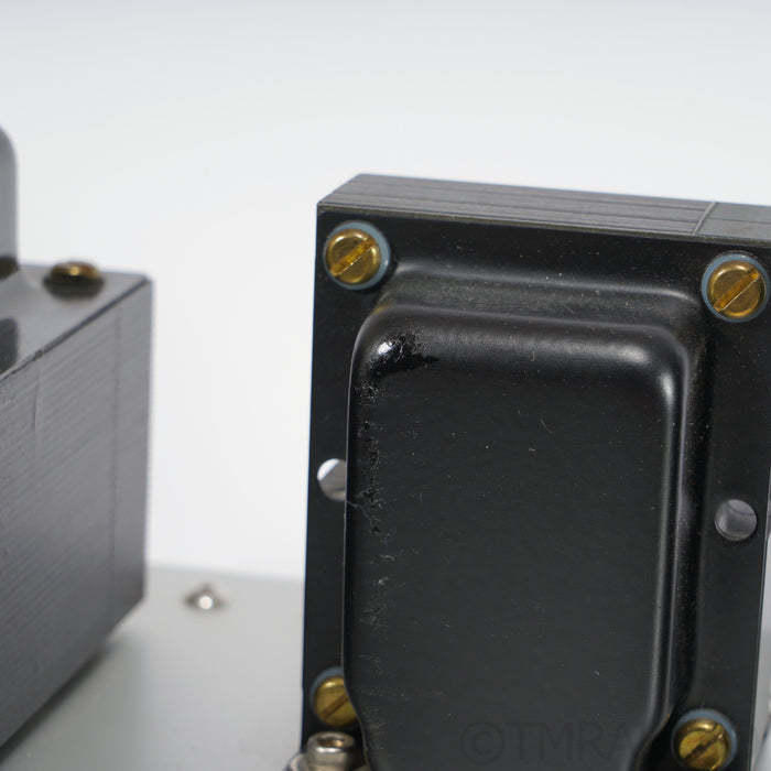 Emotive Audio Vita Lite Tube Monoblock Power Amplifiers