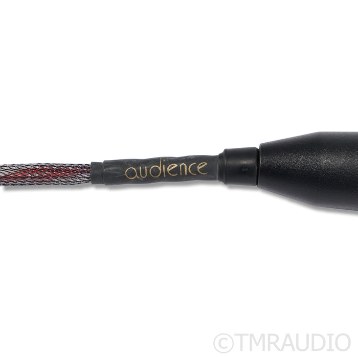 Audience OHNO XLR Cables; 1m