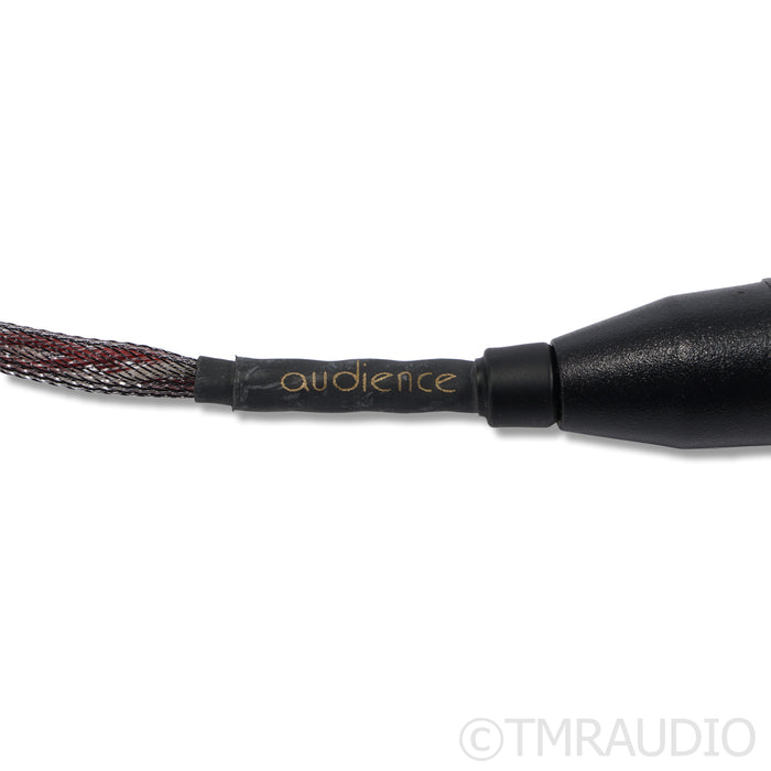 Audience OHNO XLR Cables; 2m
