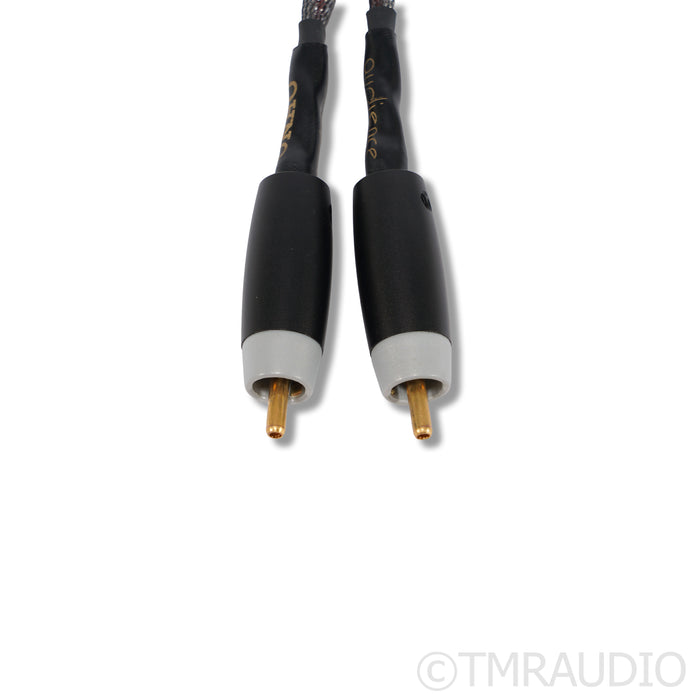 Audience OHNO RCA Cables; 1m
