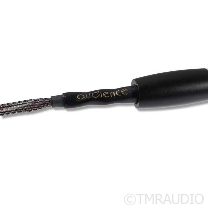 Audience OHNO RCA Cables; 1m