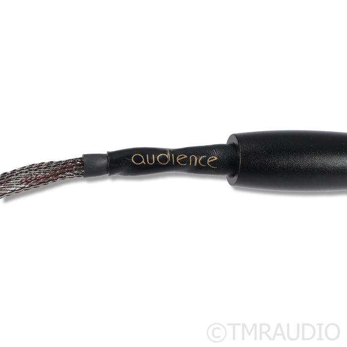 Audience OHNO RCA Cables; 2m